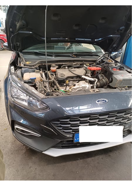 Ford Focus / 2021 / Vilnius