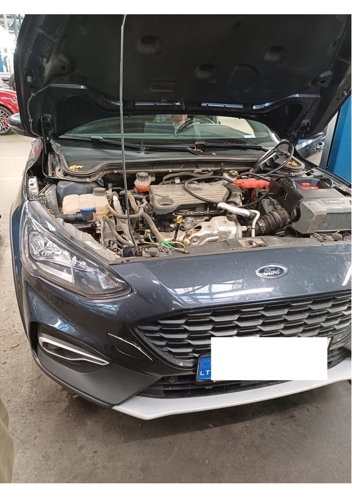 Ford Focus / 2021 / Vilnius