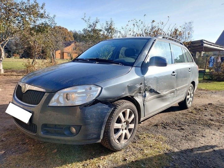 Skoda Fabia / 2010 / Švenčionių raj.