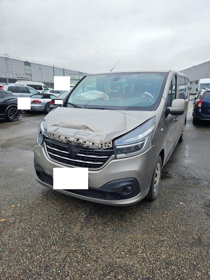 Renault Trafic / 2019 / Vilnius