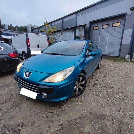 Peugeot 307 / 2006 / Kaunas