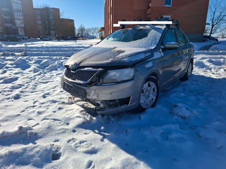 Skoda Rapid / 2017 / Širvintų raj.