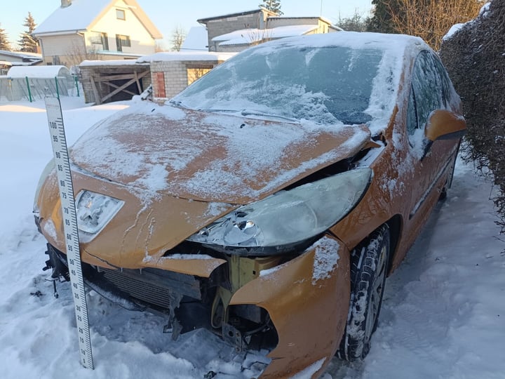 Peugeot 207 / 2006 / Kaunas