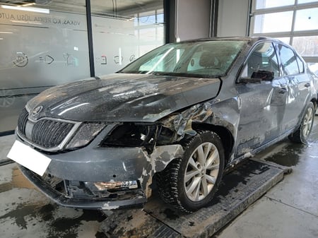 Skoda Octavia / 2017 / Kaunas