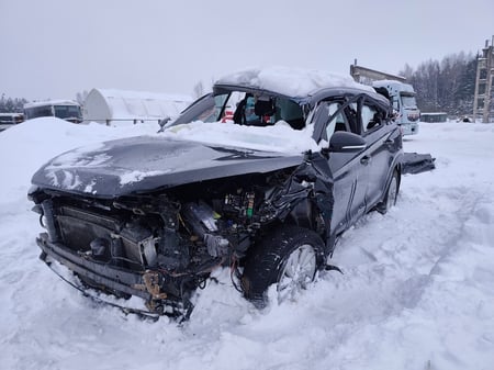 Hyundai Tucson / 2017 / Utenos raj.
