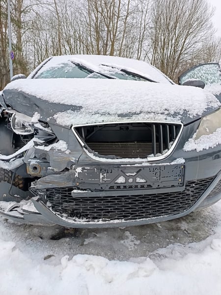 Seat Ibiza / 2010 / Vilnius