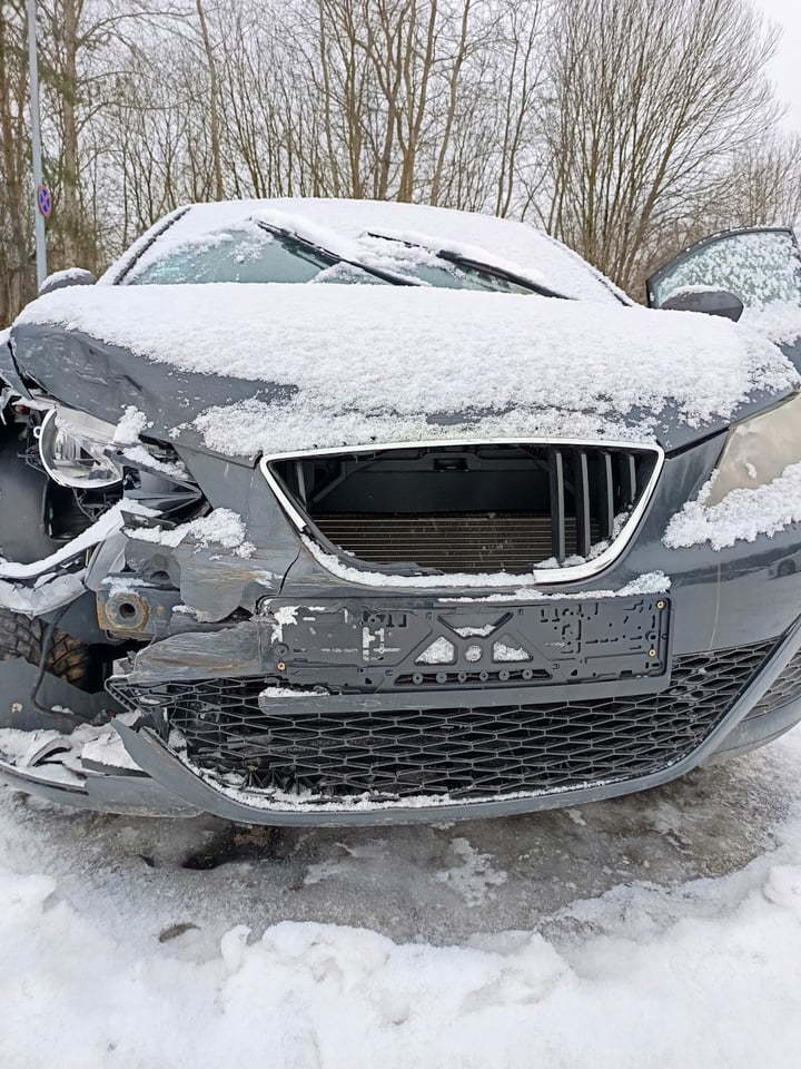 Seat Ibiza / 2010 / Vilnius