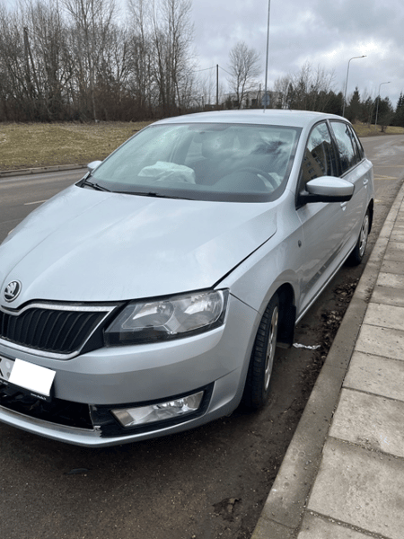 Skoda Rapid / 2015 / Vilnius