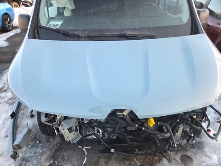 Renault Trafic / 2025 / Klaipėda