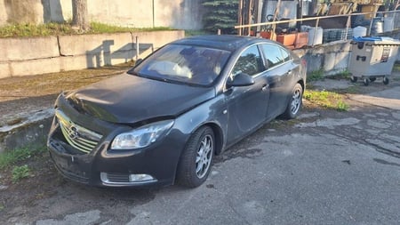 Opel Insignia / 2009 / Vilnius