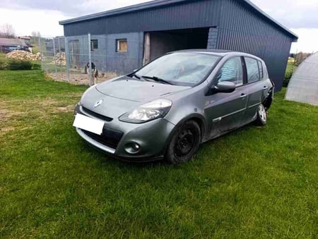 Renault Clio / 2009 / Trakų raj.