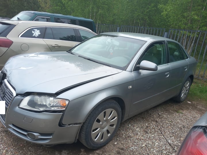 Audi A4 / 2005 / Varėnos raj.