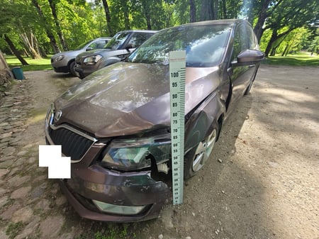Skoda Octavia / 2014 / Plungė
