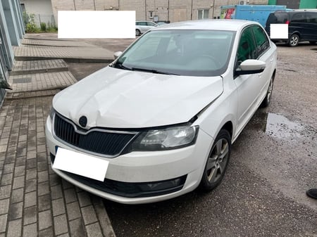 Skoda Rapid / 2018 / Vilnius