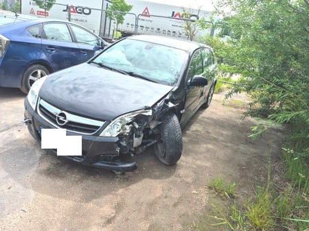Opel Signum / 2006 / Šiauliai