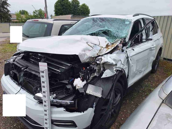 VW Tiguan / 2018 / Tauragė