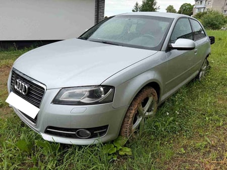 Audi A3 / 2010 / Šalčininkų raj.