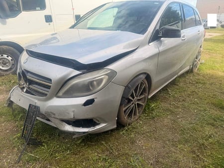 Mercedes Benz B 250 / 2013 / Biržų raj.