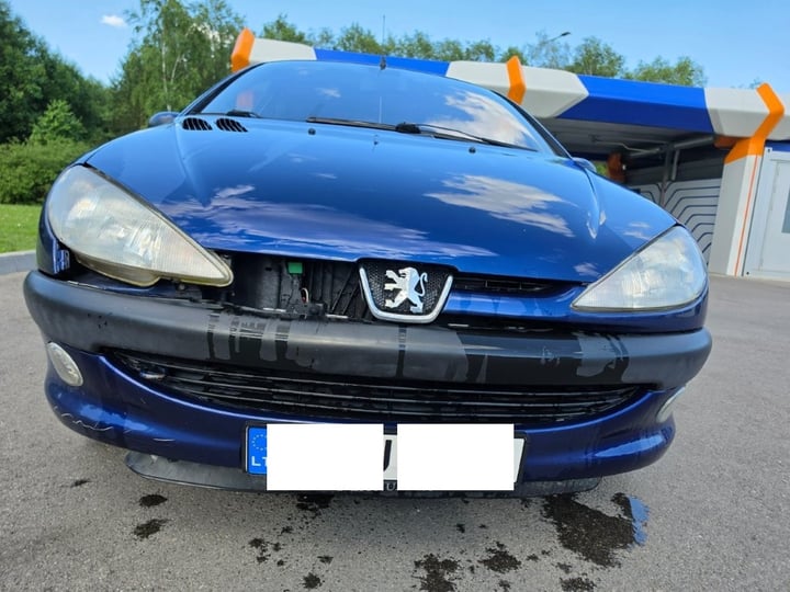 Peugeot 206 / 2002 / Šalčininkai