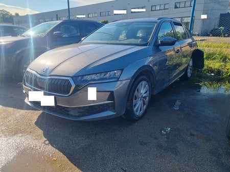 Skoda Octavia / 2024 / Kaunas