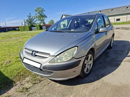 Peugeot 307 / 2003 / Panevėžys