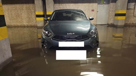 Kia Ceed / 2022 / Vilnius