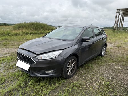 Ford Focus / 2017 / Ukmergė