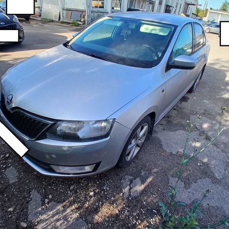 Skoda Rapid / 2013 / Panevėžys