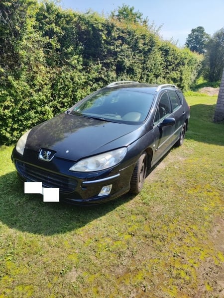 Peugeot 407 / 2006 / Plungės raj.