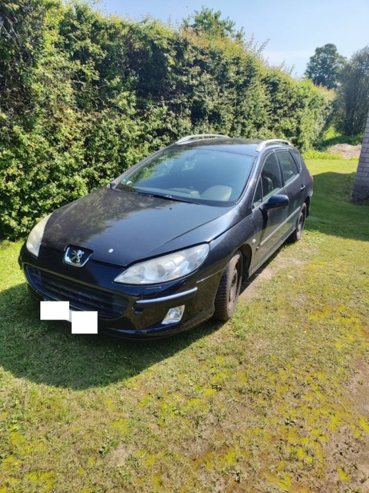 Peugeot 407 / 2006 / Plungės raj.