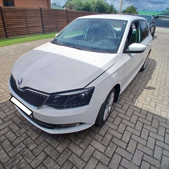 Skoda Fabia / 2018 / Klaipėda
