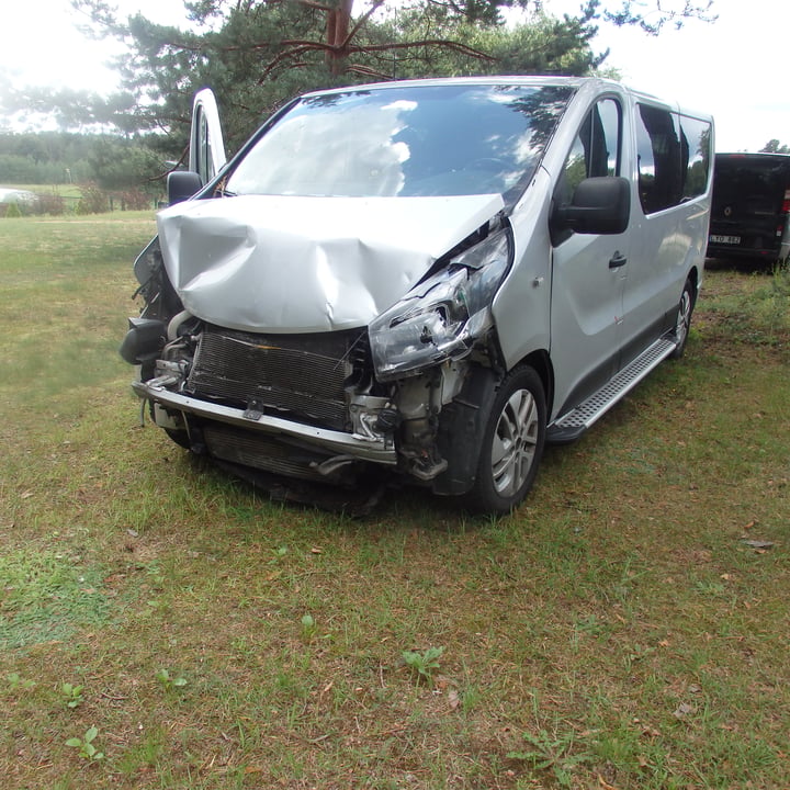 Opel Vivaro / 2018 / Druskininkai