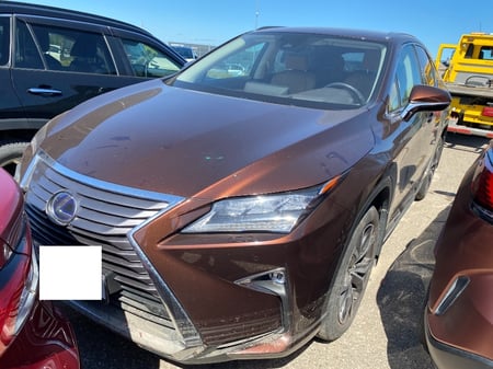 Lexus RX450H / 2019 / Vilnius