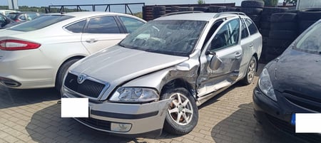 Skoda Octavia / 2007 / Klaipėdos r.