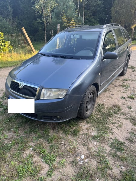 Skoda Fabia / 2007 / Varėnos raj.