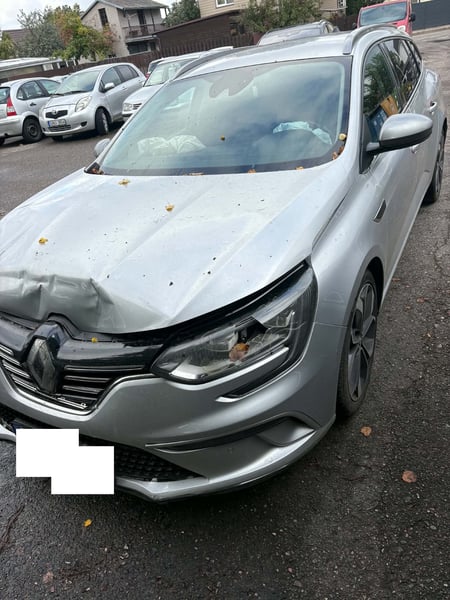 Renault Megane / 2017 / Vilnius