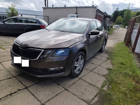 Skoda Octavia / 2017 / Alytus