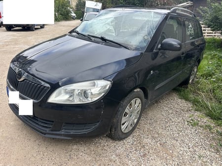 Skoda Fabia / 2011 / Vilnius
