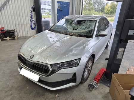 Skoda Octavia / 2025 / Riga
