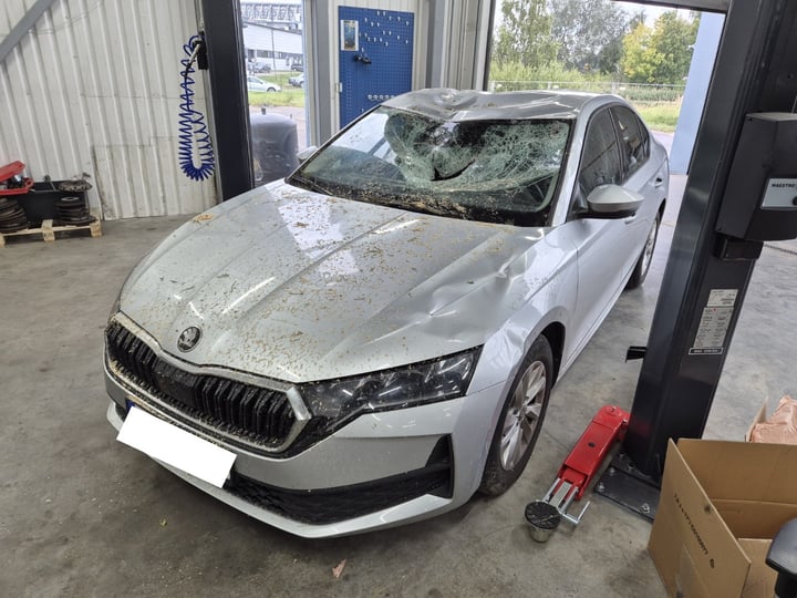 Skoda Octavia / 2025 / Riga