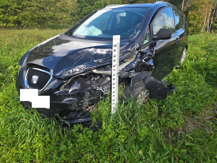 Seat Altea XL / 2008 / Plungės raj.