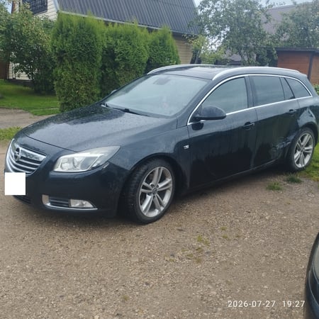 Opel Insignia / 2011 / Zarasai