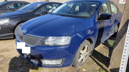 Skoda Rapid / 2015 / Kauno raj.