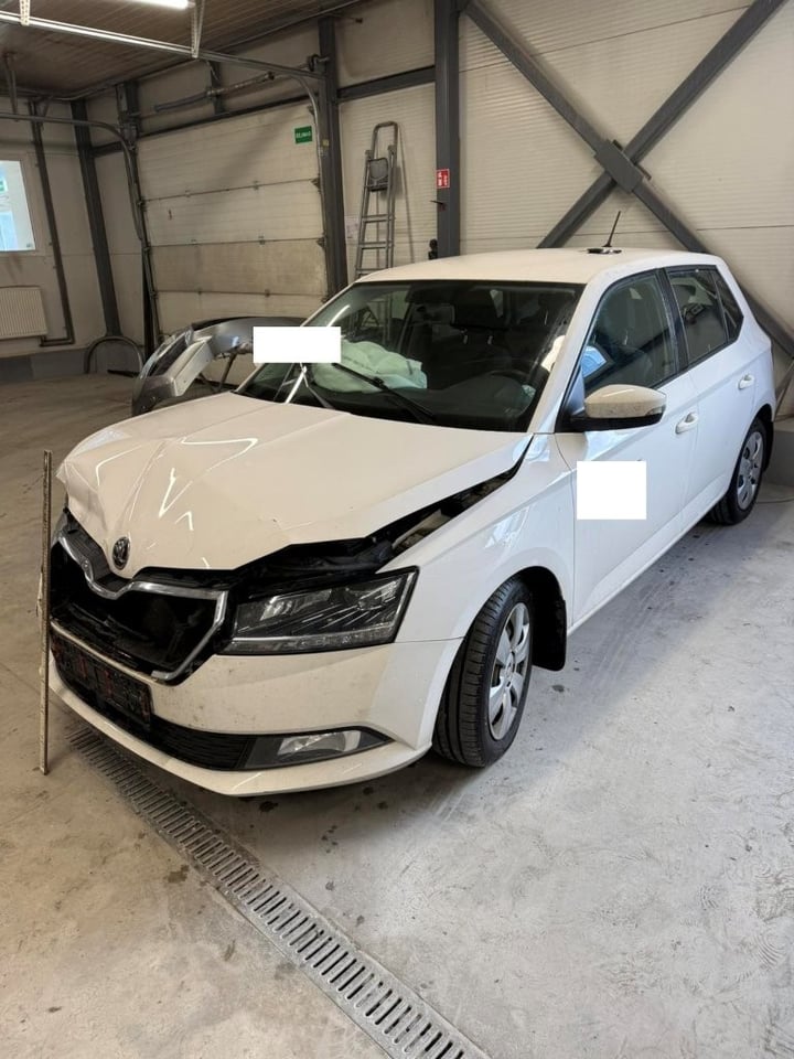 Skoda Fabia / 2021 / Kaunas