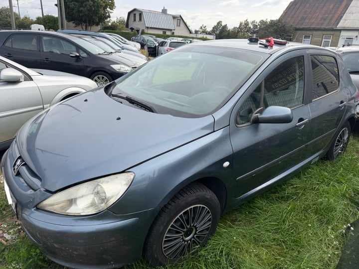 Peugeot 307 / 2005 / Kaunas